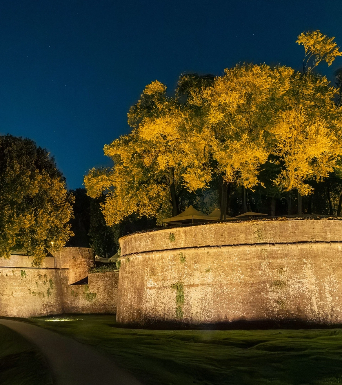 Lime Advantages - Amber